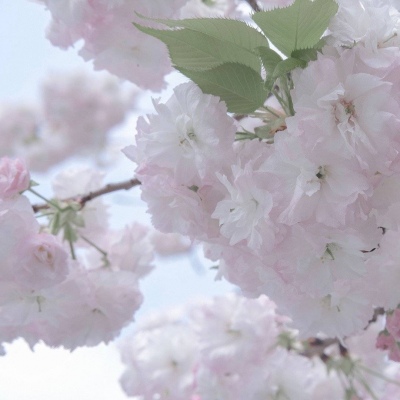 Furry绘画色彩灵感兽圈社群